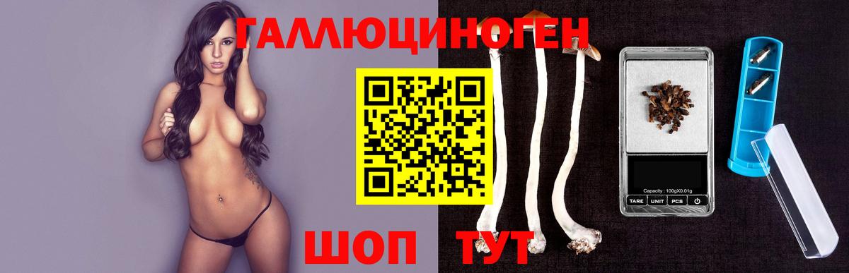 Псилоцибиновые грибы Psilocybine cubensis  Вход с VPN  Ярославль 